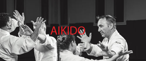 Aïkido – Stage tous niveaux à Chartres de Bretagne (35)