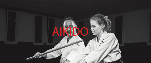 Aïkido – Stage à Haucourt Moulaine (54)