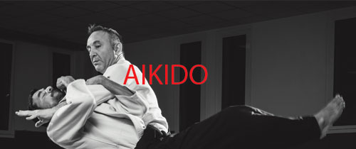 Aïkido – Stage international à Sacramento (USA)