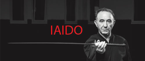 Stage Iaido - Dimanche 31 mai à Rennes