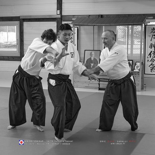 Aikido avec Saito Yasuhiro