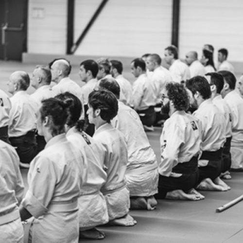 aikido-stage